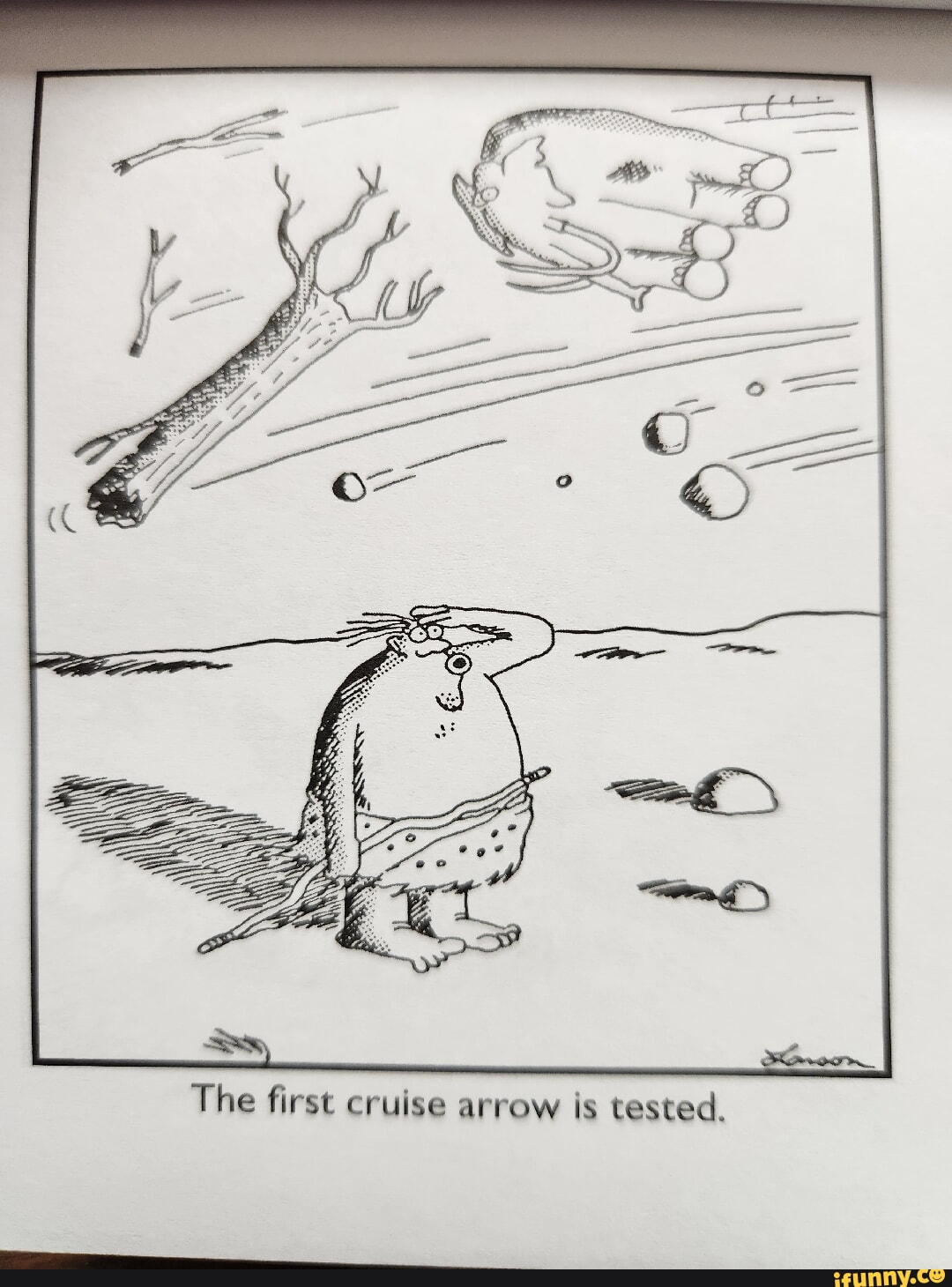 The Far Side